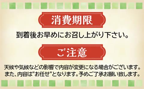《宮城県大崎市産》旬の野菜詰合せセット