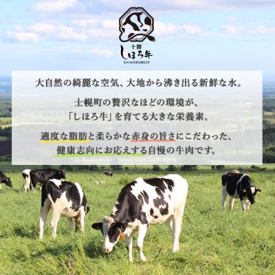 ふるさと納税 士幌町 北海道 しほろ牛 ソーセージ 計12本 牛ソーセージ むちっとジューシー 十勝 士幌町【L15】 |  | 03