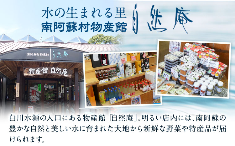 【6ヶ月定期便】日本名水百選ミネラルウォーター「南阿蘇・白川水源」定期便6ヶ月 500ml×24本入1ケース《申込み翌月から発送》熊本県 南阿蘇村 物産館自然庵 水 ミネラルウォーター---sms_s