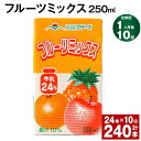 【ふるさと納税】【定期便】【1ヶ月毎10回】フルーツミックス 250ml 24本 計240本（24本×10回） ミックスジュース らくのうマザーズ フルーツ牛乳 フルーツ ジュース りんご パイナップル オレンジ みかん 紙パック 熊本県産 国産 九州 熊本県 菊池市 送料無料