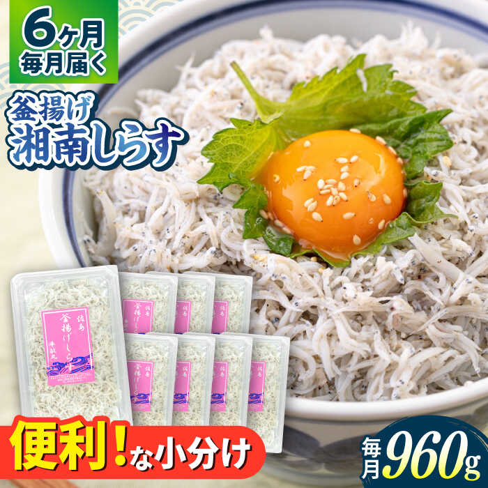 【ふるさと納税】【全6回定期便】釜揚げ 湘南しらす 960g 小分け 120g×8パック / しらす 湘南 ふわふわ 食感 冷凍 国産 シラス お取り寄せ 人気 佐島 横須賀 かながわブランド 神奈川県【平敏丸】[AKEZ009]