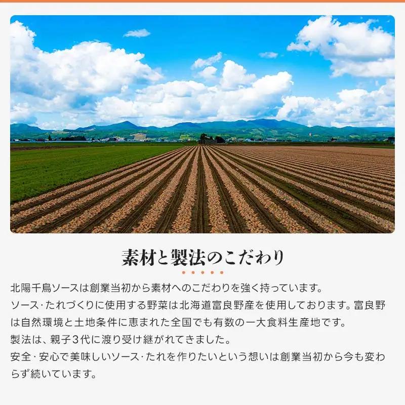 北陽千鳥ソース ウスターソース 300ml 1本 国産 玉ねぎ・人参使用！ 調味料 ソース 揚げ物 とんかつ コロッケ 家庭用 自宅用 栃木県 足利市  F7Z-1851