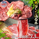 【ふるさと納税】牛タン ＆ 仙台牛 お肉の宮城県堪能セット 800g〜3.3kg ｜ 牛肉 お肉 牛たん タン タン塩 味付き タン中 厚切り 焼肉 BBQ バーベキュー 食べ比べ セット 冷凍 A5 B5 ランク 地域ブランド ブランド牛 切り落とし 切落し 塩竈市 宮城県 vsm5506919