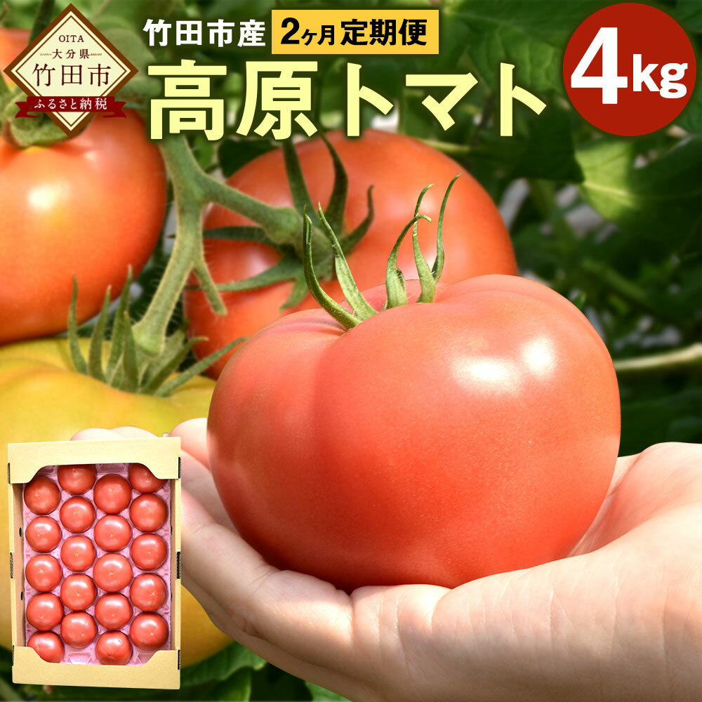 【ふるさと納税】【2ヶ月定期便】竹田市産 高原トマト 4kg 約16～28個 トマト とまと 野菜 大分県産 国産 九州 大分県 竹田市 送料無料【2026年1月上旬迄発送予定】