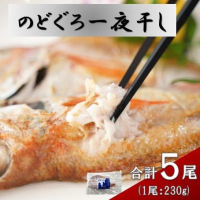 ふるさと納税 大田市 添加物不使用・天日塩仕上げ!大ぶりのどぐろ一夜干し(5枚セット)E141