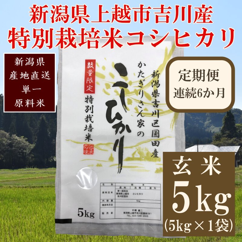 定期便 6ヶ月 特別栽培米 コシヒカリ 玄米 5kg 米 お米 こめ 