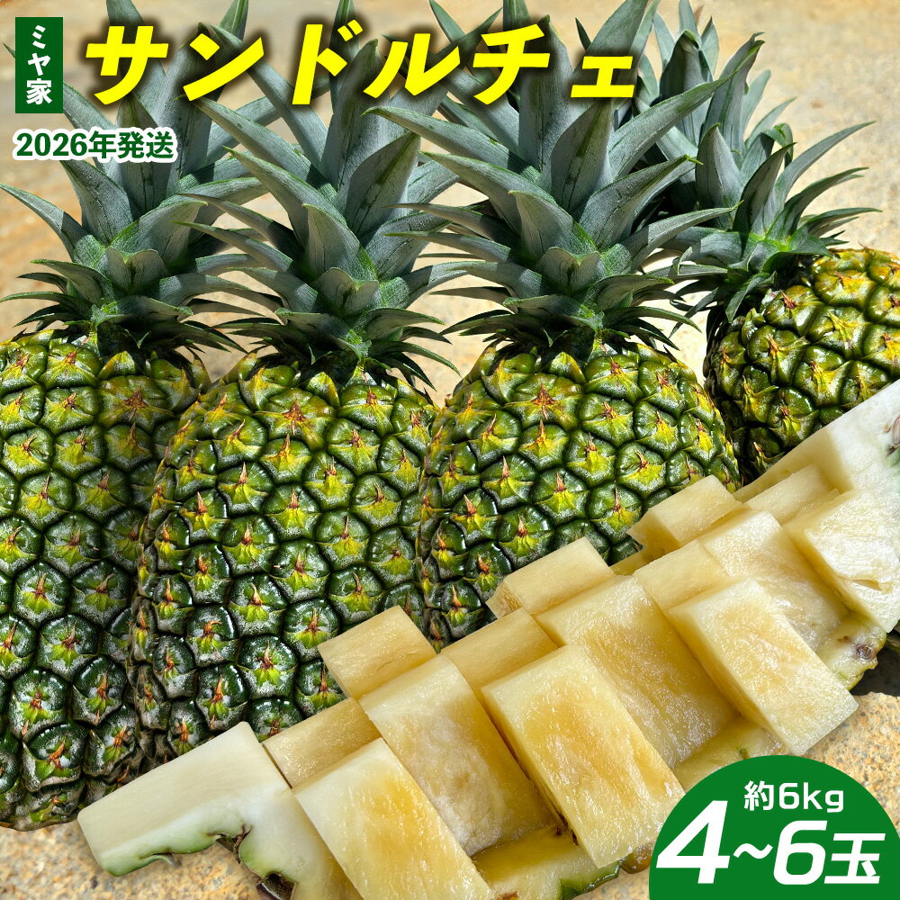 【ふるさと納税】ミヤ家　サンドルチェ　4～6玉（約6kg） 2026年発送 沖縄県産 東村 パイナップル ジューシー 希少 高級フルーツ 南国フルーツ 国産フルーツ 農家直送 パイン サンドルチェ 贈り物 おすすめ お土産 人気 やんばる 大自然 南国気分 沖縄本島北部