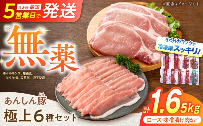
                  【お中元対象】【小分けで便利！トレーなし】無薬育ちのあんしん豚 豚肉 あんしん豚 極上セット 6種 計1.65kg｜岐阜県 白川町 藤井ファーム [AWAF009] 国産 国産豚肉 国産豚 豚肉 詰合せ 詰め合わせ セット リブロース ロース 豚バラ 豚ヒレ 味噌漬け ネギ塩 厚切りリブロース豚肉 ロースしゃぶしゃぶ用豚肉 バラしゃぶしゃぶ用豚肉 一口ヒレ豚肉
                