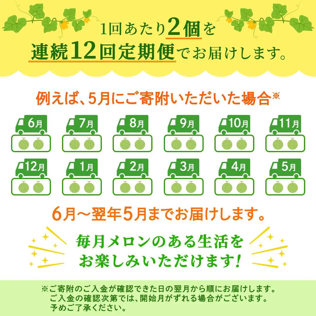 【定期便】 赤肉アールスメロン 2玉 × 12か月連続