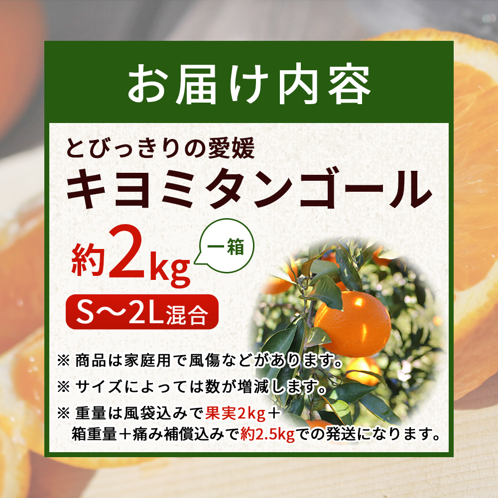 ＜とびっきりの愛媛 キヨミタンゴール 約2kg（家庭用大小混合）＞ 訳あり 家庭用 果物 柑橘 フルーツ みかん 蜜柑 オレンジ 清見タンゴール 特産品 片山果樹園 食べて応援 西宇和 愛媛県 西予市