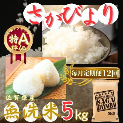 ふるさと納税 伊万里市 【毎月定期便】【無洗米】さがびより 5kg 《マイスターセレクト》(伊万里市)全12回