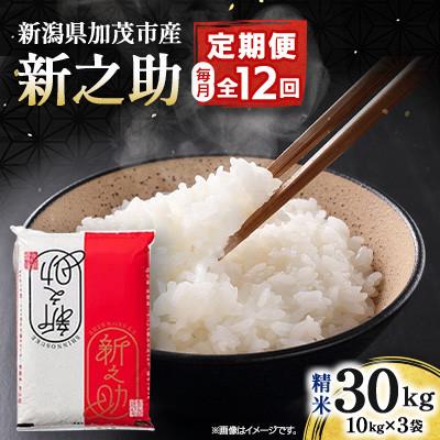 ふるさと納税 加茂市 【発送月固定定期便】新之助 精米30kg(10kg×3袋)全12回
