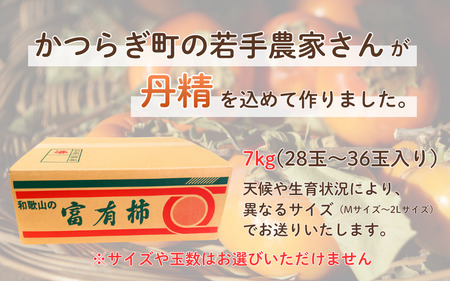 柿 富有柿 かつらぎの陽だまりが育てた富有柿約7.5ｋｇ【2026年11月上旬～12月上旬頃発送予定】【A-frks183】