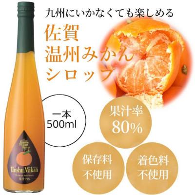 ふるさと納税 水俣市 九州を飲む! 九州果実 シロップ 温州みかん 500ml 1本 【福田農場】 |  | 01
