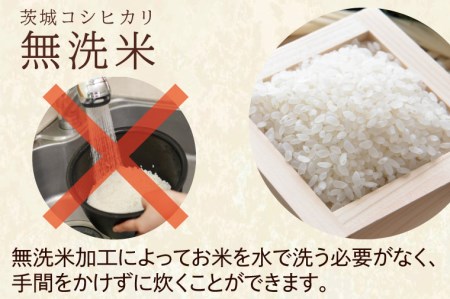 令和5年産  無洗米 茨城 コシヒカリ 10kg (5㎏×２袋) 米 お米 おこめ 白米 ライス ご飯 精米 こしひかり 国産 茨城県産_CU002