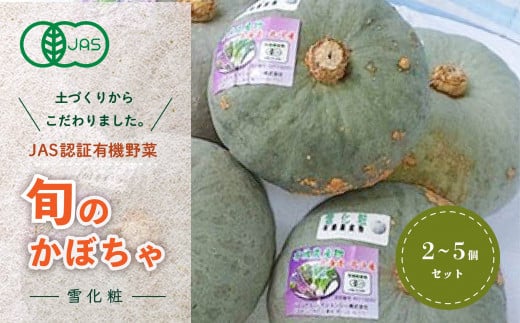 
            【JAS認定有機野菜】旬の南瓜2～5個セット ふるさと納税 人気 おすすめ ランキング 旬 かぼちゃ 南瓜 カボチャ 新鮮 鮮度抜群 野菜 ベジタブル おいしい 健康 北海道 北斗市 送料無料 HOKB016
          