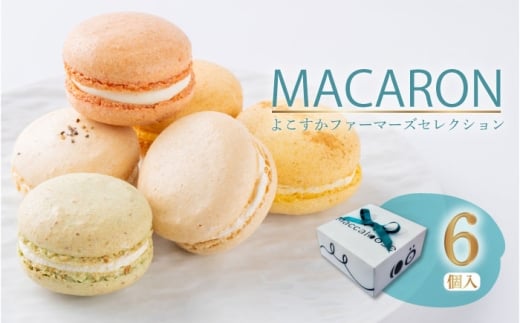 マカロン6個セット　よこすかfarmersSelection マカロン お菓子 スイーツ 野菜【マカルース】 [AKGS001]
