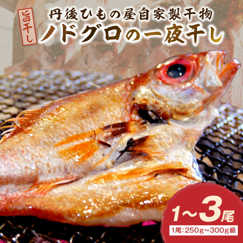 【ふるさと納税】丹後ひもの屋自家製干物「旨干しノドグロの一夜干し」250g～300g級 1尾 2尾 3尾 漁師町の味！