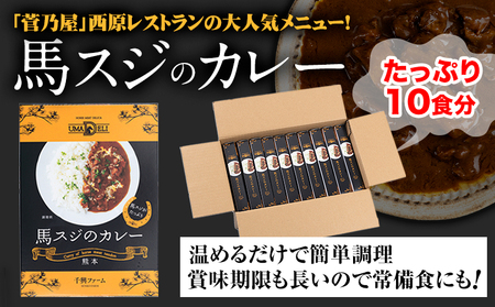 たっぷり！馬スジカレー 10食セット《60日以内に出荷予定(土日祝除く)》馬スジ カレー お肉 馬すじ カレーライス 馬肉 贈答 ギフト グルメ お取り寄せ 熊本県 津奈木町 送料無料 個包装 大人気