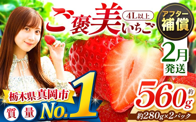 【先行予約】【2月発送】一粒の贅沢！ ご褒美とちあいか 4L以上 約560g 280g×2パック いちご | 1月 取り寄せ 果物 フルーツ 苺 イチゴ 27年分 栃木県 真岡市 送料無料 【2月発送