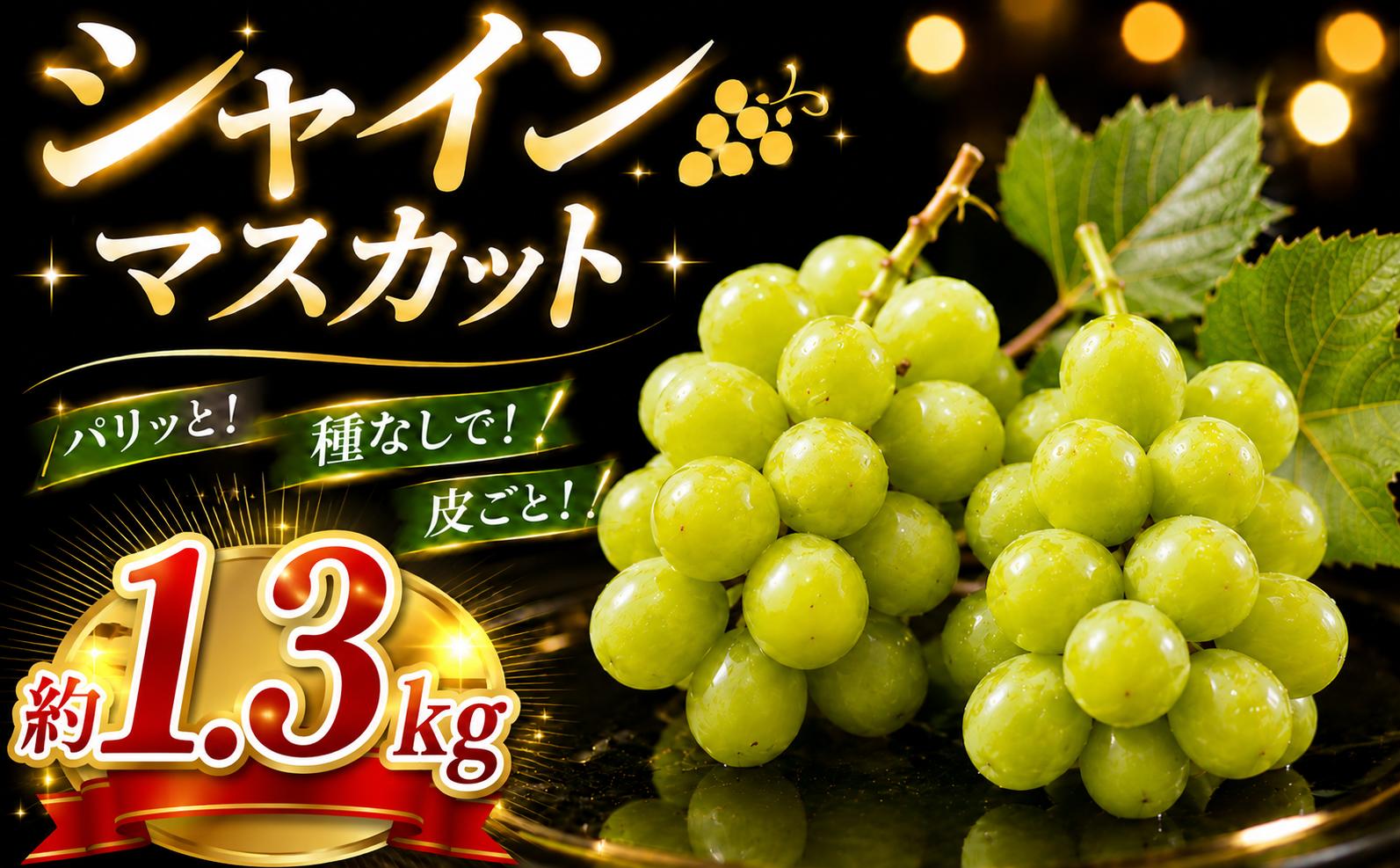 
                  【現在発送中！ 】シャインマスカット 2～3房 約 1.3kg ｜訳あり シャインマスカット 種無し しゃいんますかっと シャインマスカット 果物 フルーツ マスカット ますかっと くだもの ブドウ 葡萄 ぶどう 千葉県産 フルーツ シャインマスカット マスカット しゃいんますかっと 葡萄 くだもの 果物 農家直送 新鮮 種なしぶどう 皮ごと 千葉県産 香取市 関東 香取ぶどう店
                