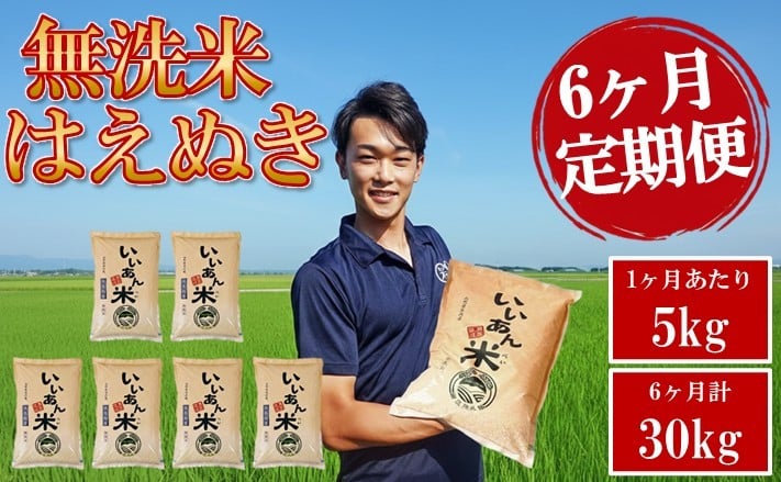 6回定期便 無洗米はえぬき 5kg×6回(計30kg) 農家直送