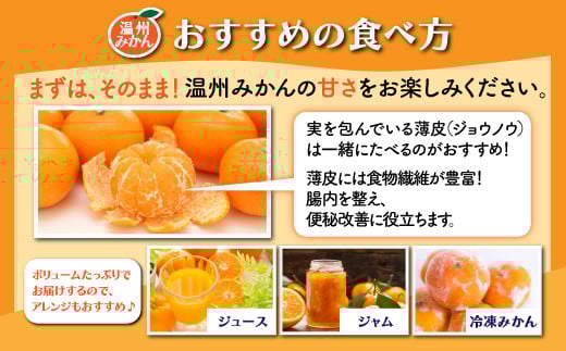 B-99  【先行予約】佐賀県鹿島産『温州みかん』約１１ｋｇ【11月中旬から順次発送】ふるさと納税 みかん ミカン 果物 フルーツ 果実 蜜柑 お取り寄せ ギフト 国産 佐賀県産 佐賀県 鹿島市 ふる