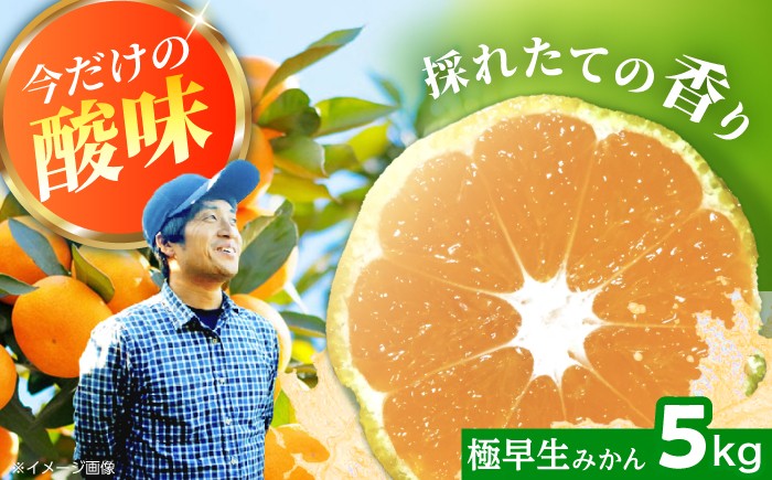 
                  みかん 【10月上旬から順次発送】極早生みかん （岩崎・上野）約5kg  ＜Da・IWASAKI FARM＞[CCZ001] みかん ミカン 柑橘 西海みかん 早生みかん 贈答 ギフト みかん ミカン 酸っぱい
                