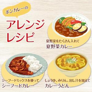 【定期便 全9回】ボンカレーゴールド（大辛）30個×9回　計270個