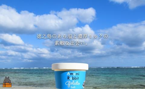 《ふるさと納税限定》美ら海の塩と濃厚ミルク。アマミラビットジェラート（Salt：8個）