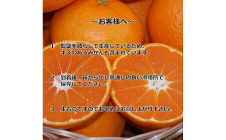 【11月発送】【ご家庭用】濃厚 有田みかん 5kg 大好きみかん (サイズ混合)【産地直送】ミカン 蜜柑 柑橘類 果物 くだもの フルーツ 送料無料 国産 和歌山県広川町 ※2024年11月中旬より順