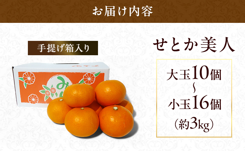 【2026年3月頃より順次発送】柑橘の女王『せとか美人』施設栽培 約3kg 果物類 柑橘類 フルーツ 静岡県産