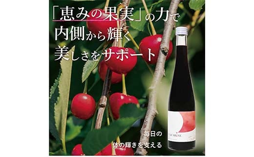 濃縮タルトチェリー500ml瓶 (3倍希釈タイプ)【 ギフト プレゼント お中元 お歳暮 贈答品 栃木県 足利市 】 F7Z-1369
