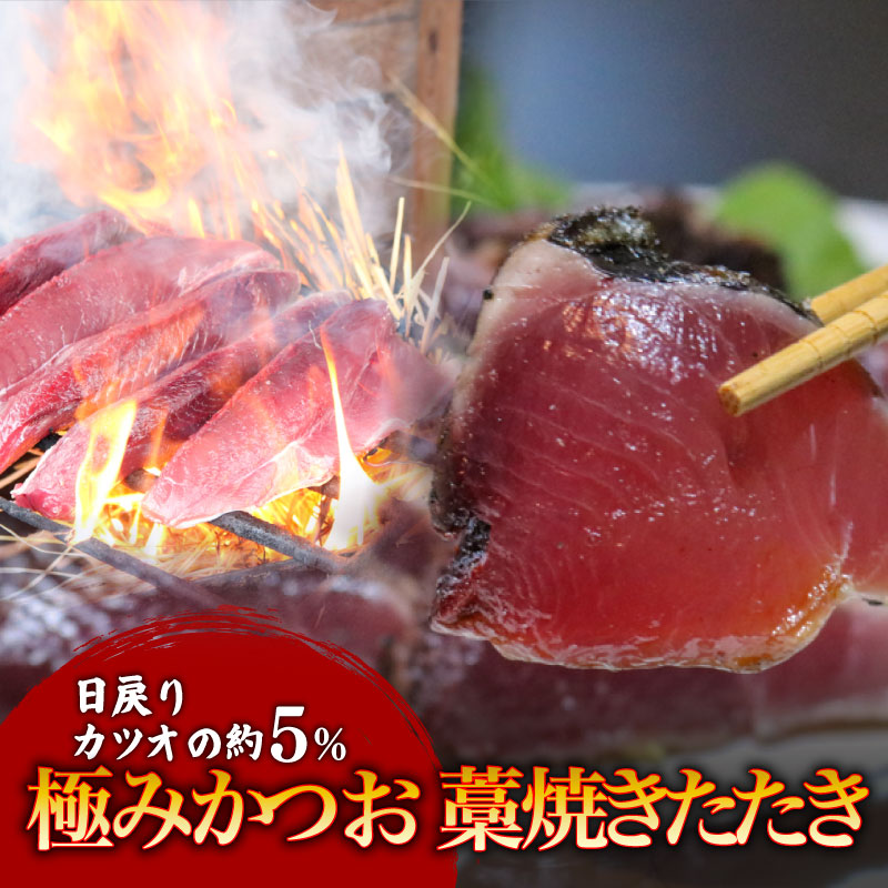 冷凍もちもち食感極みかつお藁焼きたたき250g×2節【鰹 たたき かつおのたたき わら焼き 藁焼き 魚 魚介 食品  人気 おすすめ 高知県 南国市】