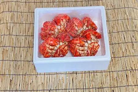 【北海道根室産】花咲かに300g前後～450g前後×4尾 A-76031