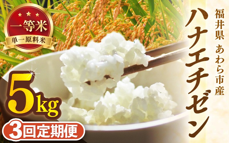 
                  【先行予約】【令和8年産 一等米】定期便 ≪3ヶ月連続お届け≫ ハナエチゼン 精米 5kg（計15kg）（長谷川農園） / 単一原料米 北陸 福井県産 あわら市 ブランド米 白米 お米 コメ ※2026年10月より順次発送予定 [aw139-b002]
                