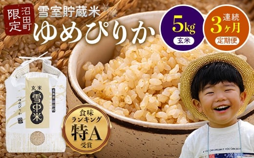 【数量限定】【令和8年6月発送開始定期便】令和7年度産 春摺り 雪中米 ゆめぴりか 玄米 5kg × 3回 計15kg 3か月連続定期便 定期便 定期 米 nr-1398