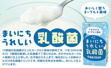 常温保存可能【1ヶ月毎6回定期便】まいにちうれしい 乳酸菌 ヨーグルト風味 250ml×24本 計144本 合同会社たべたせいか《お申し込みの翌月から出荷》熊本県 菊池市 紙パック ヨーグルト飲料 乳