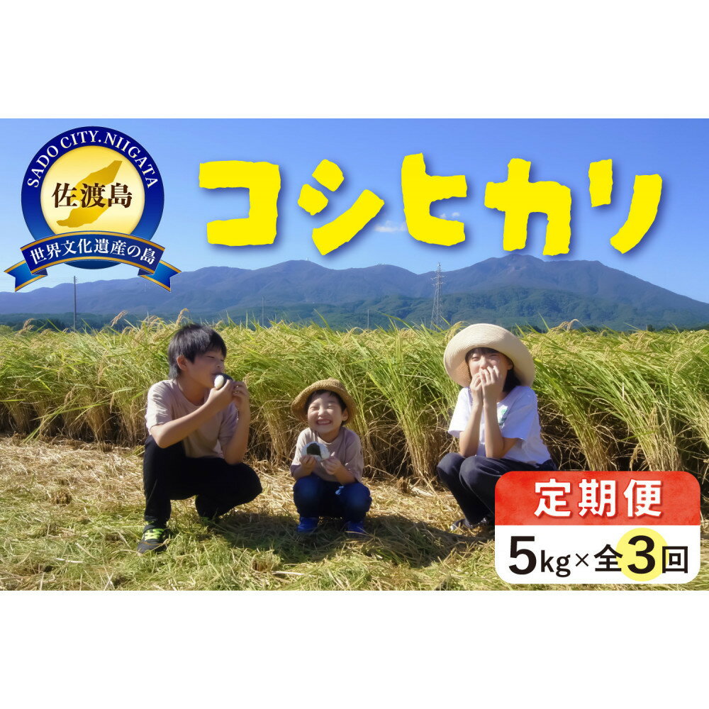 【ふるさと納税】【先行予約】米 定期便 佐渡島産 コシヒカリ ( 5kg × 全3回 ) 【令和7年産】令和7年10月上旬以降順次発送予定 | お米 こめ 白米 食品 人気 おすすめ 送料無料