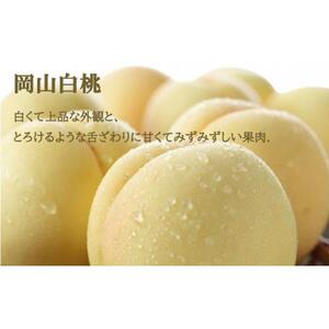桃 ぶどう 2026年 岡山 白桃 ロイヤル 2玉×約200g（Lサイズ、早生種・中生種） シャイン マスカット 晴王 1房約400g 詰め合わせ 岡山県産 フルーツ
