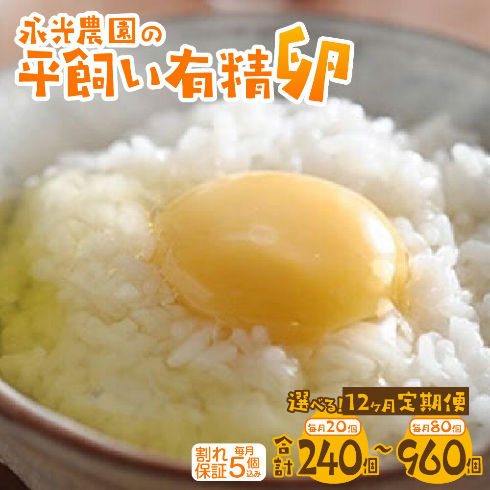 【ふるさと納税】 定期便 12か月 たまご 【 選べる 個数 】 毎月 20個 30個 40個 80個 卵 玉子 タマゴ 鶏卵 生卵 平飼い 有精卵 新鮮 安心 黄身 甘い 朝食 卵かけご飯 TKG スイーツ パンケーキ プリン 永光農園 北海道 札幌市