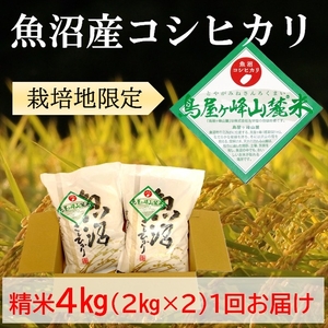 令和7年産 魚沼コシヒカリ 鳥屋ヶ峰山麓米(精米)４kg(2kg×2) お米 