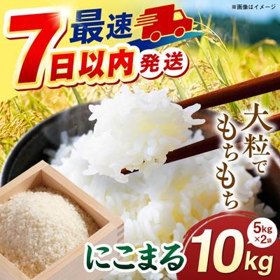 ふるさと納税 糸島市 【スピード発送】令和7年産 にこまる 玄米品質1等米 白米 10kg 糸島市産[AGR002]