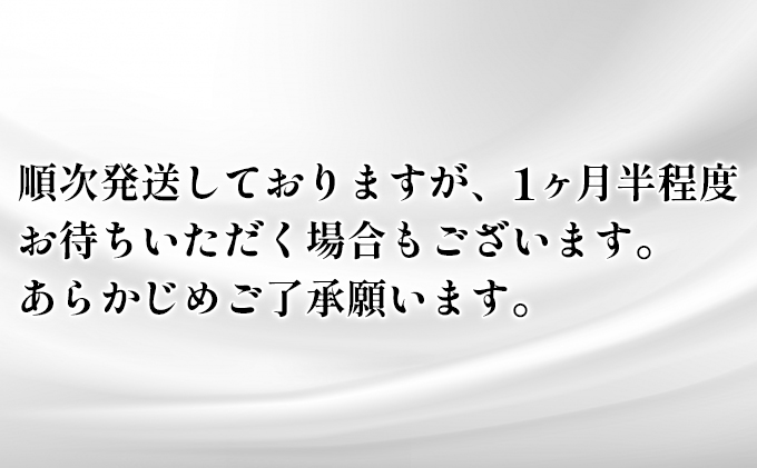 スコッティフラワーパック3倍長持ち：ダブル 8ロール（6パック入り）【香り付き】