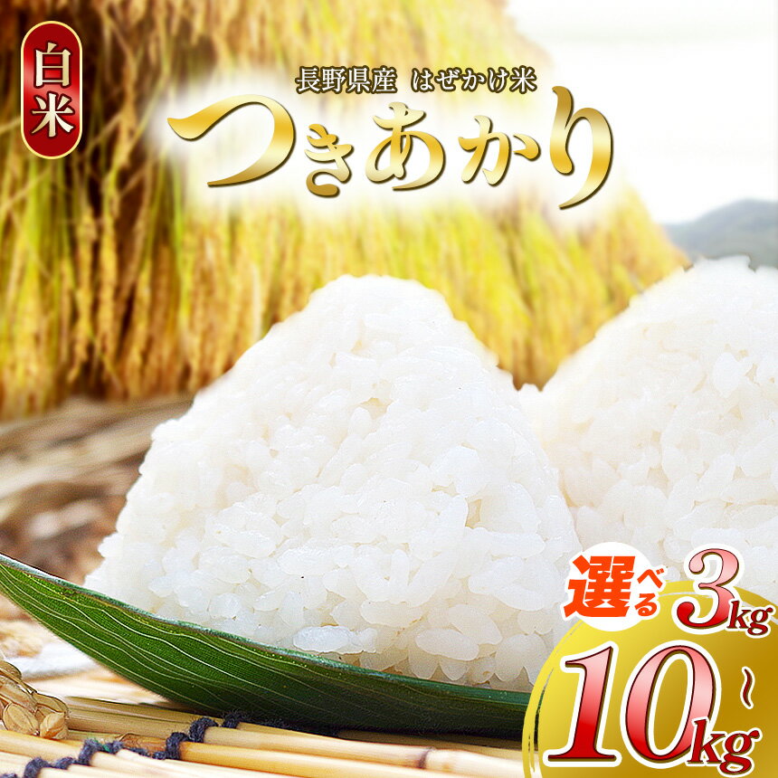 【ふるさと納税】白米 つきあかり 3kg～10kg | 米 つきあかり 白米 精米 お米 栽培期間中無農薬 塩尻市 長野県 信州