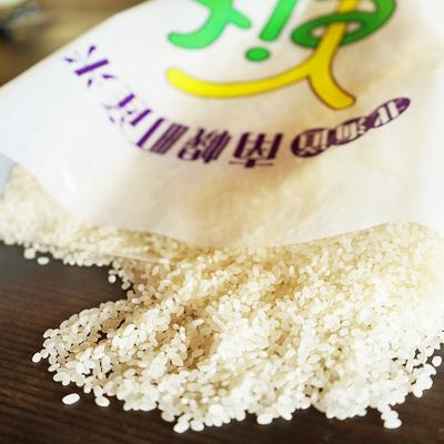ふるさと納税 南幌町 新米 ななつぼし 5kg 令和8年産 【12月発送】北海道 南幌町産 米 白米 精米 有限会社ライフ |  | 01