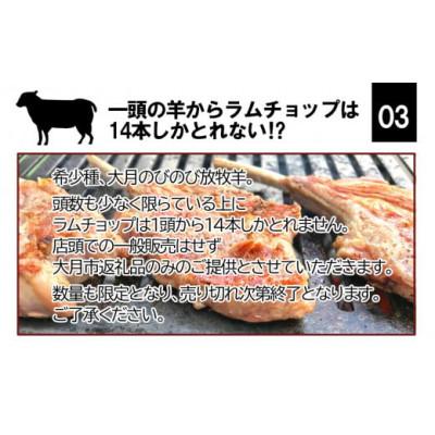ふるさと納税 大月市 【先行受付】【大月のびのび放牧羊】ラムチョップ2本　ラム肉ステーキセット400g |  | 03