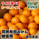 【ふるさと納税】 完熟 有田みかん 贈答用 7.5kg 10kg 有機質肥料100％ ※11月中旬より翌年1月中旬頃に順次発送予定 ※北海道・沖縄・離島への配送不可 / 温州みかん みかん 贈答 お歳暮 柑橘 果物 フルーツ くだもの 果実 和歌山 有田 //mandarin