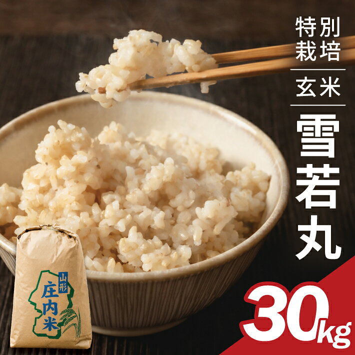 【ふるさと納税】≪新米予約≫ 雪若丸 玄米 30kg×1袋 特別栽培米 令和8年産米 山形県酒田産 ご希望の時期頃お届け 東北 山形県 酒田市 庄内地方 庄内平野 お米 ブランド米 石抜き済み 農家直送