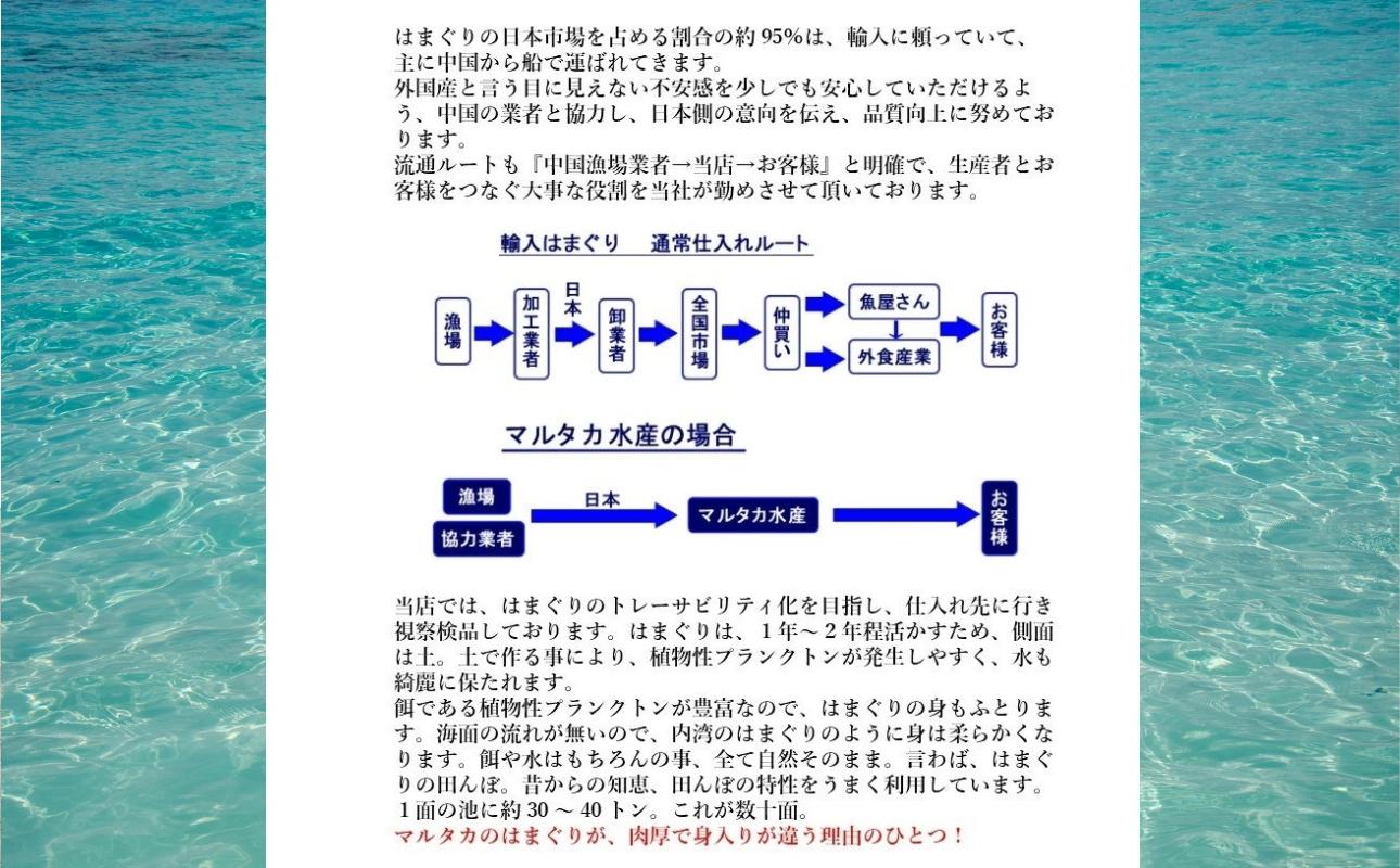 三重県・畜養はまぐり 3kg　ハマグリ　蛤　お吸い物　焼きはまぐり 3kg